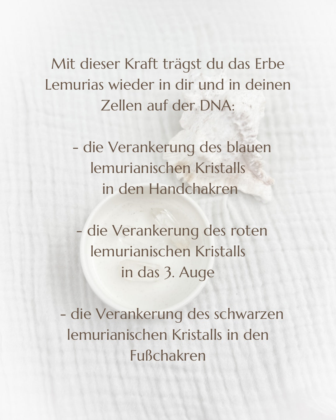 03.11. Ausbildungsretreat Lemuria 0