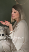 Übertragung der Blaupause